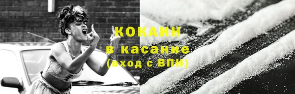 крисы Абаза