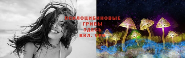 герыч Абинск