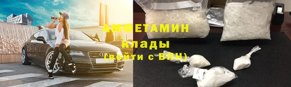 крисы Абаза