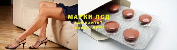 крисы Абаза
