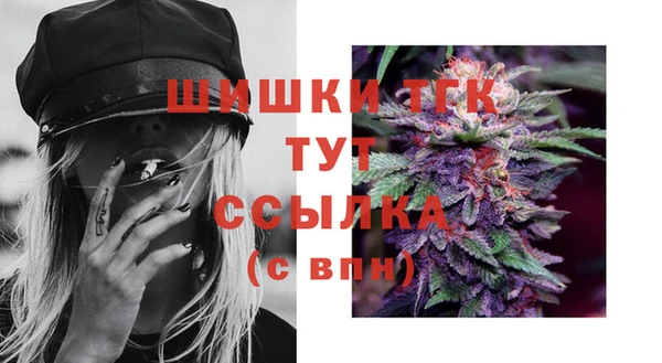 крисы Абаза