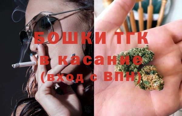 крисы Абаза