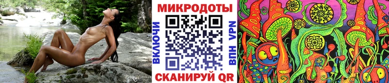 Псилоцибиновые грибы Psilocybe  Усмань 